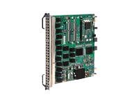 48-Port 10/100/1000BASE-T IPv6 Module