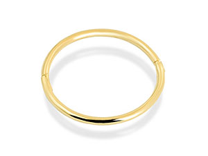 Single Hoop Earring 073445