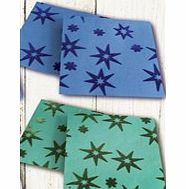 ACE Flocked Star Handmade Paper