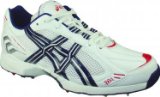 ASICS Gel-Gully Adult Cricket Shoes , UK10