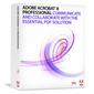 Acrobat Professional 8 (Win)