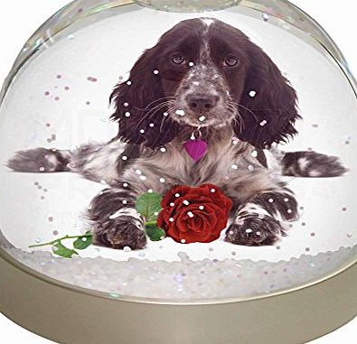 Advanta - Snow Globes Blue Roan Cocker Spaniel with Rose Snow Dome Globe Waterball Gift