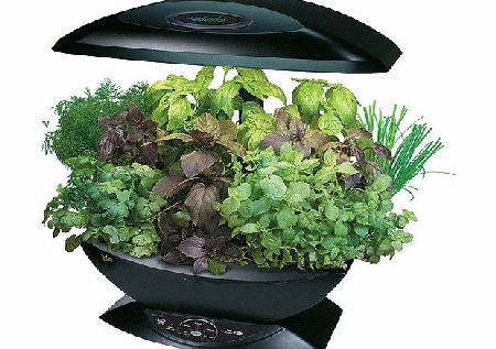 Garden Pods - Herbs