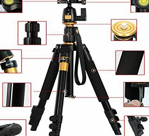 AFAITH Professional Portable Magnesium Aluminium Alloy Tripod Monopod amp; Ball Head SLR Camera Canon Nikon Pentax Sony Tripod Q-666