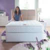 sprung Hush Lavender Fresh Divan