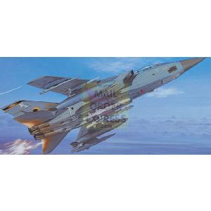 Panavia Tornado F3 EF3 1 48 Scale Kit