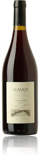 Seleccion Pinot Noir 2008 Mendoza