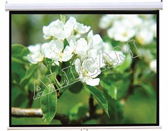 Allcam PCW92MM 92`` Projector Screen 16:9 Widescreen Matte White Manual