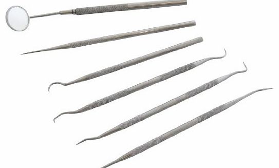 6 Piece Stainless Steel Dental Set