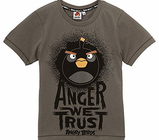  Boys 44ABSOG102 T-Shirt, Grey, 12 Years