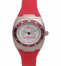 Ladies Animal Jelli Kelli Watch. Pink