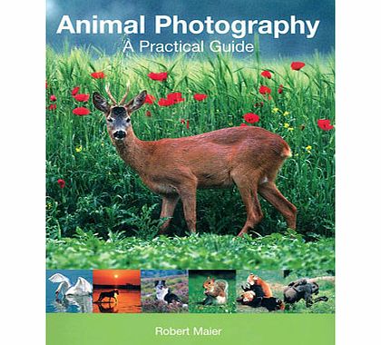Animal Photography - A Practical Guide