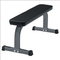 Anniluce Life Fitness Flat Bench