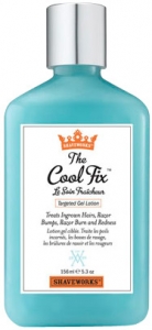 Anthony Logistics SHAVEWORKS THE COOL FIX (156ML)