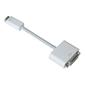 Apple Mini DVI to DVI Adapter