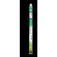 Glo Tube 40W 48 xx1