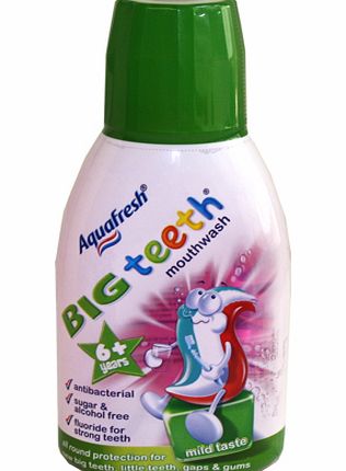 Big Teeth Mouthwash 300ml