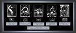 Deluxe Sports Cell: 245mm x 540mm (approx). - black frame with black mount