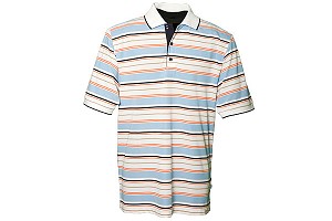 Ashworth Performance Stripe Shirt   Ashworth Fragrance Set