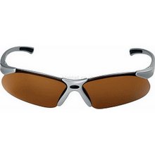 Aspex Banshee Sunglass