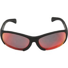 Aspex Michigan Sunglass