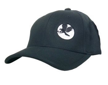 Audioslave Eagle Flexifit Cap