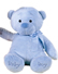 Bonnie Bear Boy 14 inch 73404E