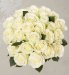 Avalanche  Roses - Two Dozen