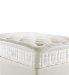 Sprung-Edge Non-Storage Divan & Autograph M500