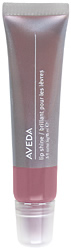 Aveda Haircare AVEDA LIP SHINE 570 THYME BUD (15ml)