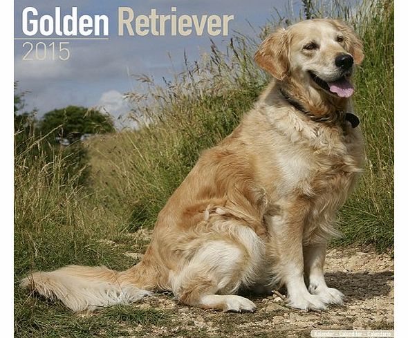 Avonside Publishing Golden Retriever 2015 Wall Calendar (Square)