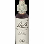 Bach Flower Larch Flower Remedy - 20ml 089831