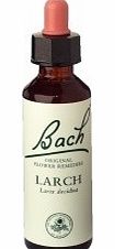 Larch