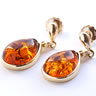 Amber Drop Earrings