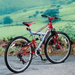 Torsion 21 speed Bicycle