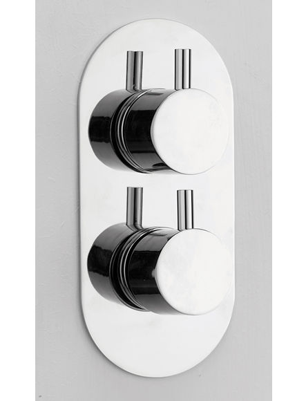 Bathroom Heaven Eternity Dual Control Thermostatic Shower Valve