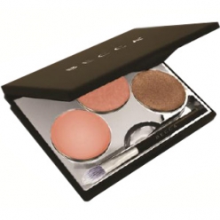FALLEN ANGEL PALETTE