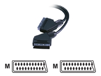 belkin PRO Series video / audio cable - 75 cm