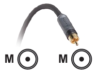 Belkin Pure AV Blue Series - digital audio cable (coaxial) - 1.8 m