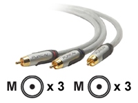 belkin Pure AV Silver Series - video cable - component video