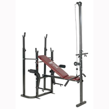 05LFSPT WEIGHT BENCH with Leg Unit, Pec Dec, Squat Rack