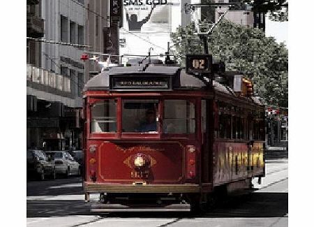 of Melbourne including Tramcar Dinner - Adult