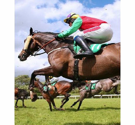 Bhs A Day at the Races, no colour 19600339999