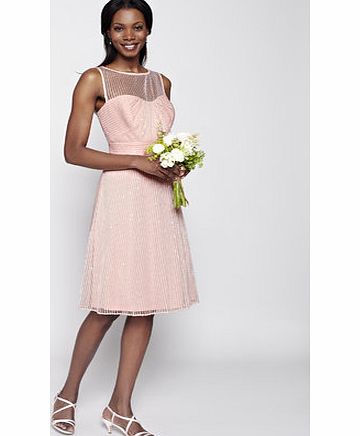 Bhs Blush Juliet Short Bridesmaid Dress, blushed