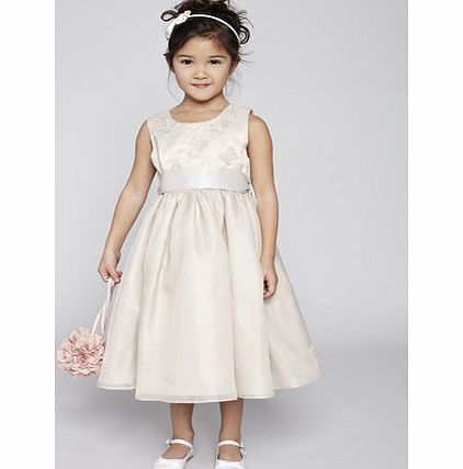 Bhs Isabelle Champagne Bridesmaid Dress, champagne