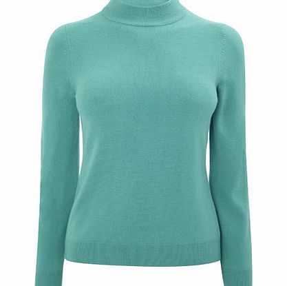 Bhs Jade Petite Turtle Neck Jumper, green 419509533
