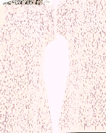 Bhs Multi Pink Print V Neck Popcorn Textured Shell