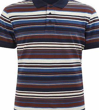 Bhs Multi Stripe Jersey Polo Shirt, NATURAL