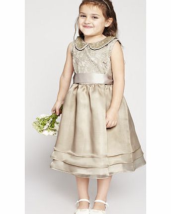 Bhs Peony Champagne Bridesmaid Dress, champagne