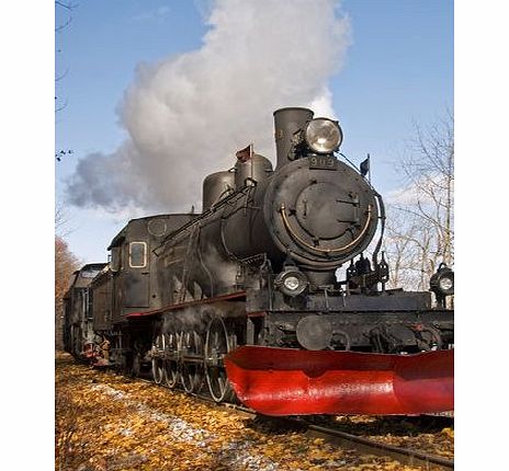 Bhs Steam Train Experience for Two, no colour